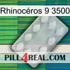 Rhinocéros 9 3500 16